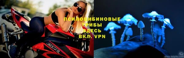 твердый Вяземский