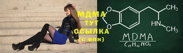 прущие грибы Вязьма