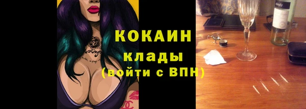 прущие грибы Вязьма