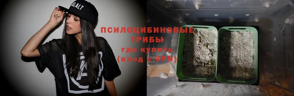 твердый Вяземский