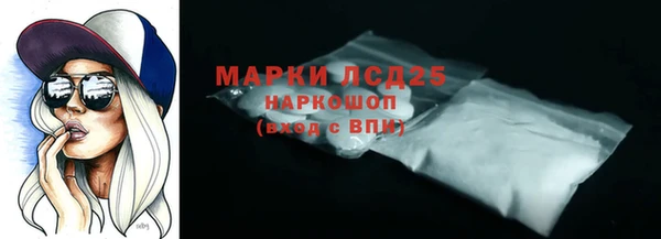ПСИЛОЦИБИНОВЫЕ ГРИБЫ Горняк