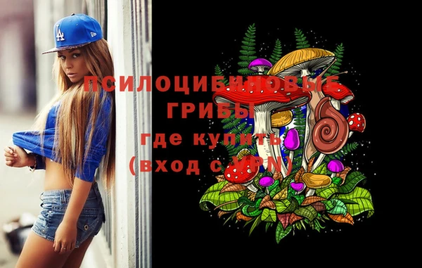 ПСИЛОЦИБИНОВЫЕ ГРИБЫ Горняк