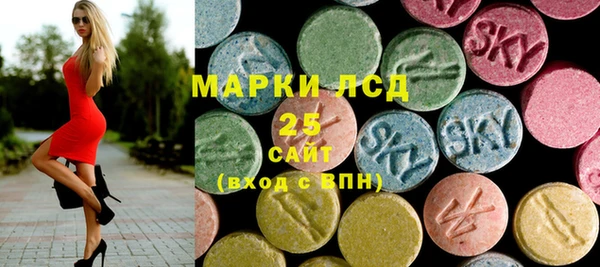 ПСИЛОЦИБИНОВЫЕ ГРИБЫ Горняк