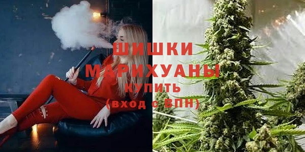 ПСИЛОЦИБИНОВЫЕ ГРИБЫ Горняк