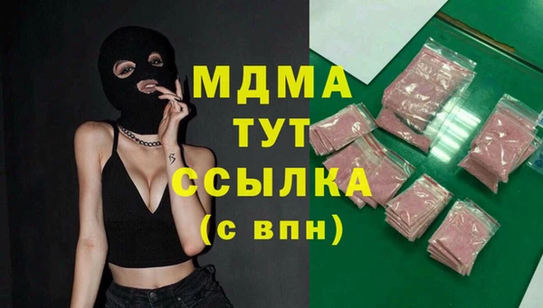 прущие грибы Вязьма