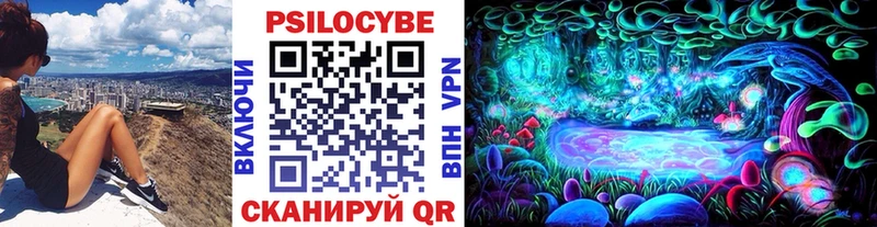 Псилоцибиновые грибы Cubensis  Кострома 
